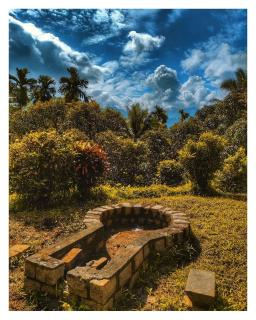 Lose yourself in natures luxury - Kālikāvu - 5
