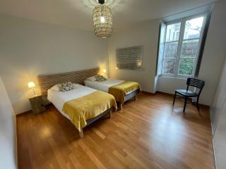 Le Grenier à Sel d'Amboise 5 pers PMR, parking privé, terrasse, maison historique - 1