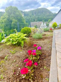 Ron vacation home in Gerolstein - Gerolstein - 5