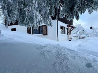 Gemütliches Chalet auf 1600m Höhe Nähe Lenzerheide - Malix - 3
