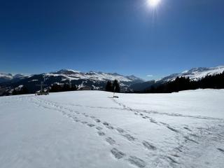 Gemütliches Chalet auf 1600m Höhe Nähe Lenzerheide - Malix - 2