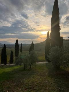Agriturismo Casale Dello Sparviero - Castellina in Chianti - 7