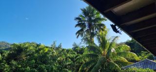 A Peace In Paradise - 5