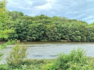 Luxurious and Tranquil Stay by the River - Cardiff - 8