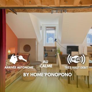 Bel appartement, mezzanine, calme, 2 coins bureaux - Home'ponopono - 0