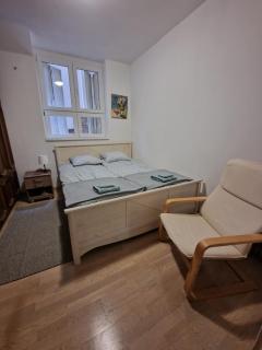 Flat in center of Belgrade - Belgrado - 6