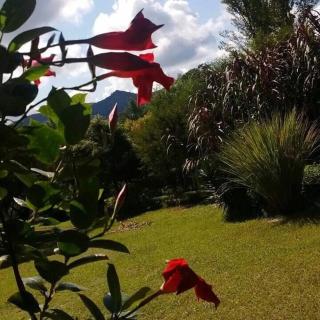 Madre Selva - Vaqueros - 5