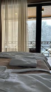 Hotel LION in Borjomi الأسد - Borjomi - 5