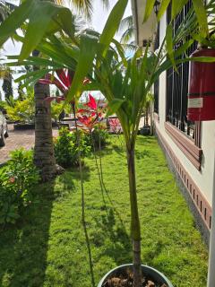 Nasim Villa - Dar es Salaam - 1