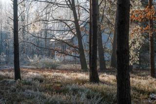 Zielona Perspektywa Agroturystyka - 1