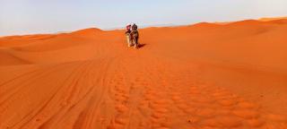 ERG MERZOUGA SAHARA CAMP - 9