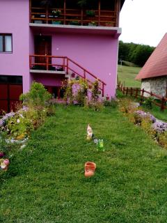 Apartment Nikitovic - Žabljak - 0