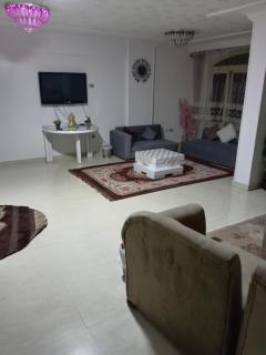 شقه مفروشه مميزه - Il Cairo - 5