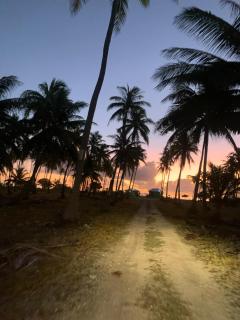 Tepuru Lodge - Fakarava - 3
