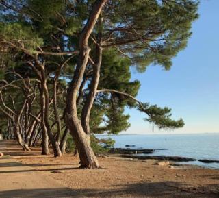 Excellent studio MIA - Umag - 0