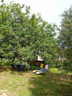 Apartmani Joja - 9