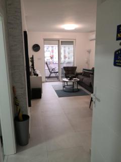 Apartman Nika Banja Koviljaca - Banja Koviljača - 6