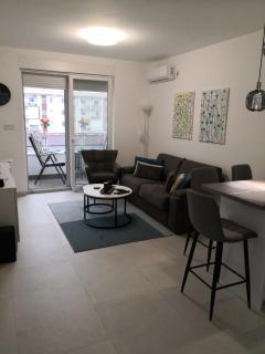 Apartman Nika Banja Koviljaca - Banja Koviljača - 5