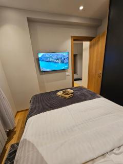 Apartman Ambient Zlatibor - Zlatibor - 8
