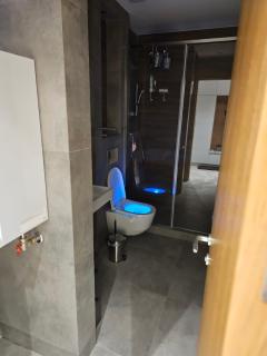 Apartman Ambient Zlatibor - Zlatibor - 7