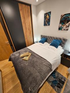 Apartman Ambient Zlatibor - Zlatibor - 6
