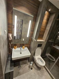 Apartman Ambient Zlatibor - Zlatibor - 2