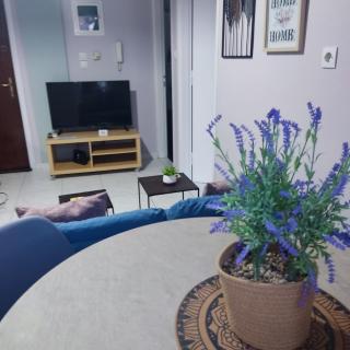 Central Aquarium - 2