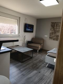 Apartma dolgi most - Liubliana - 0
