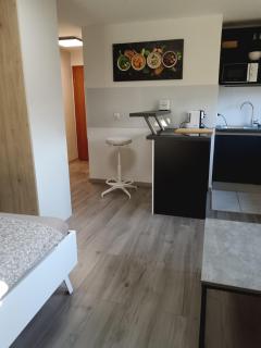 Apartma dolgi most - Liubliana - 4