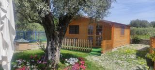Il Paradiso - Condoianni - 5