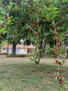 Casa de Campo Estância S & T - 5