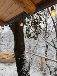 Cabana A - Şurdeşti - 7