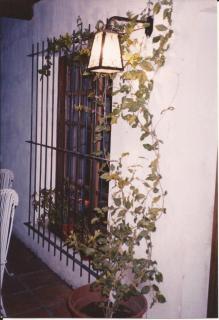 El bastión - Nueva Palmira - 4