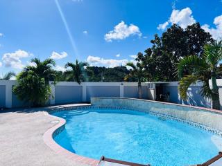 Beautiful and large with private pool with solar panels - Coamo - 0