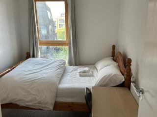 Shoreditch Apartment - Londra - 4