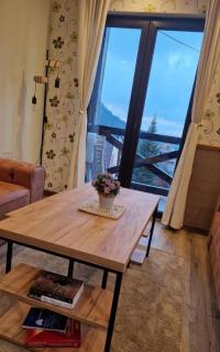 Apartman Vila Bella - Jahorina - 3