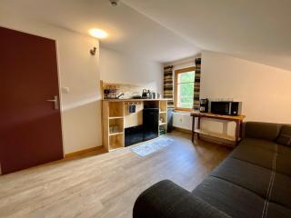 Le Grand Loup, appartement neuf avec bain nordique - Gerbépal - 6