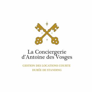 Le Grand Loup, appartement neuf avec bain nordique - Gerbépal - 9