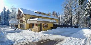 Le Grand Loup, appartement neuf avec bain nordique - Gerbépal - 8