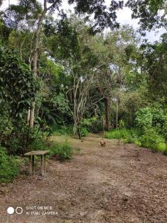 Suítes Pedreiras 01 - 7