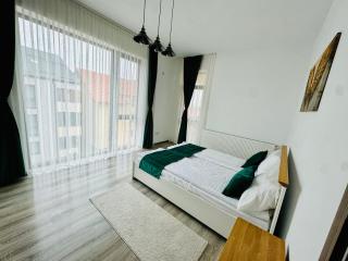 Thyon Apartments - Sebeş - 6