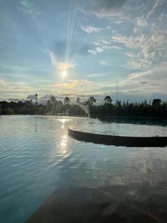 Ven a lo mejor del triangulo del cafe - 5