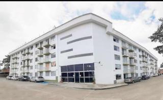 Ven a lo mejor del triangulo del cafe - 4