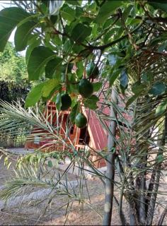 CHALÉ HAKUNA MATATA-Vale do capão - 5