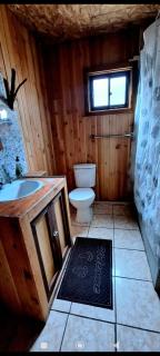 cabaña Belén - Neltume - 9