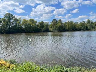 The GooseNest - Fredericktown - 8