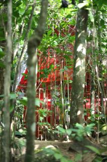 Bamboo Cabana Adams Peak - 3