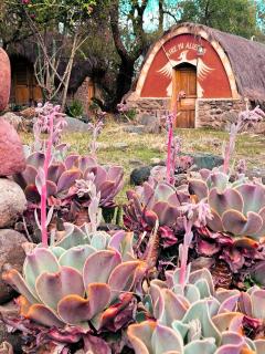 Hotel El Poncho - Centro Ecoturistico - - 7