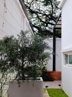 As-it home at CentralFest - 9