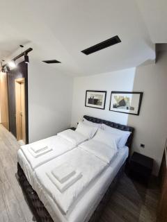 Fine apartments Nis - Niš - 5